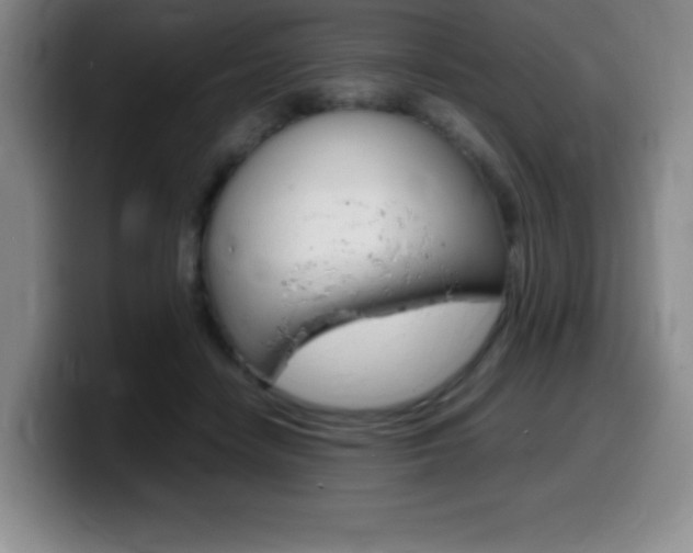 X0000099460458200805090751