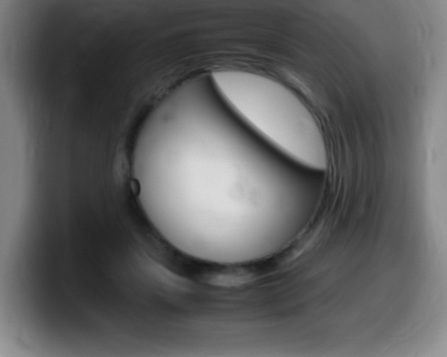 X0000099460459200805090751