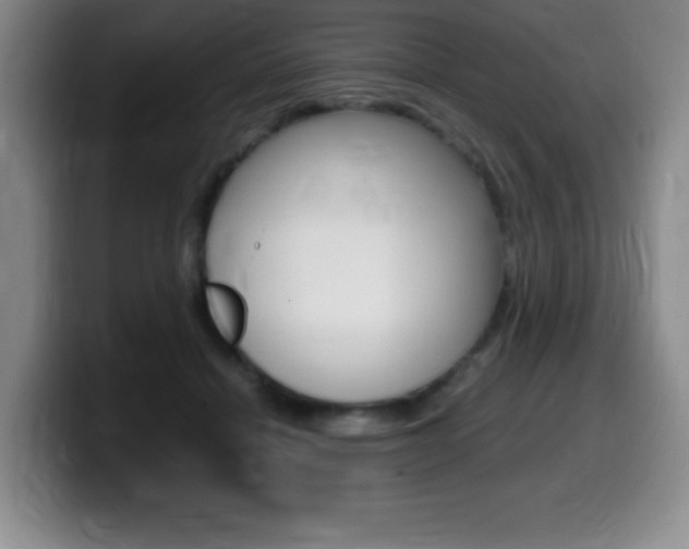 X0000099460460200805090751