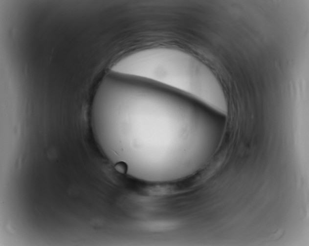 X0000099460461200805090751