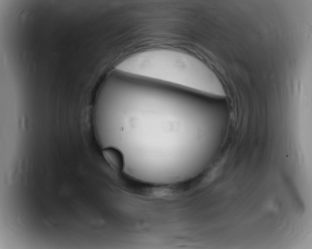 X0000099460462200805090751