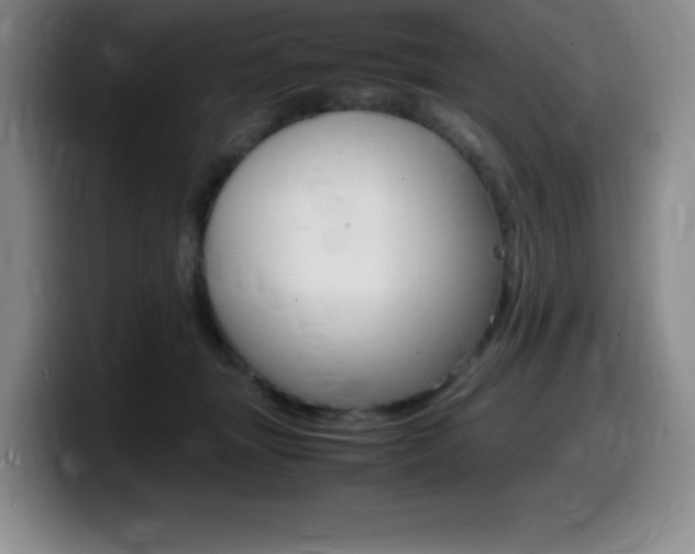 X0000099460463200805090751