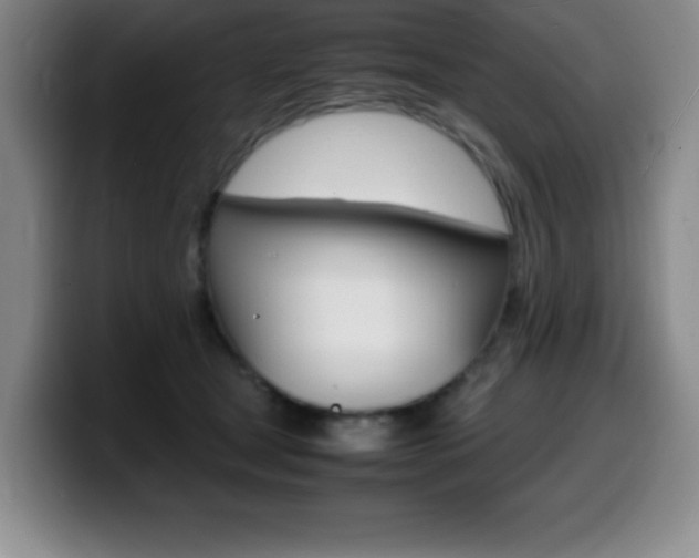 X0000099460465200805090751