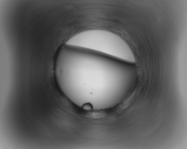 X0000099460466200805090751
