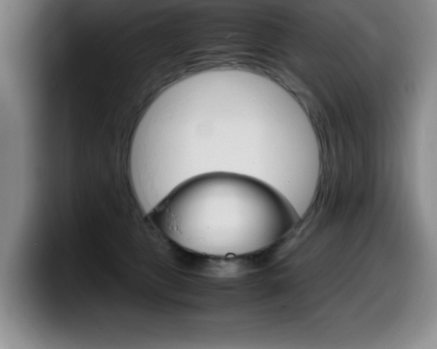 X0000099460469200805090751