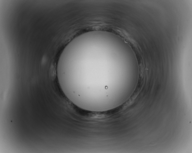 X0000099460471200805090751