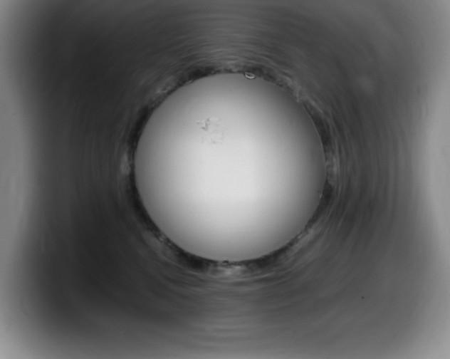 X0000099460472200805090751