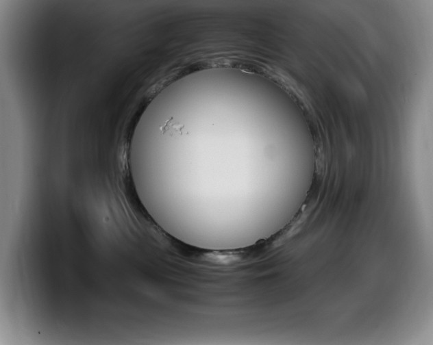 X0000099460477200805090751