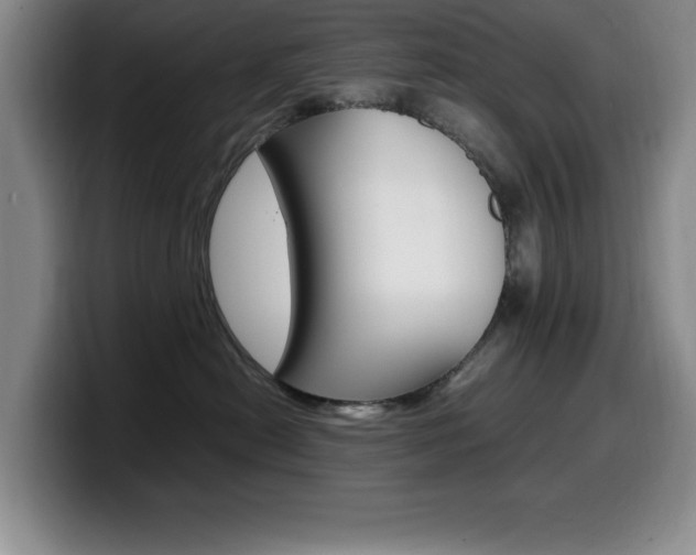 X0000099460478200805090751