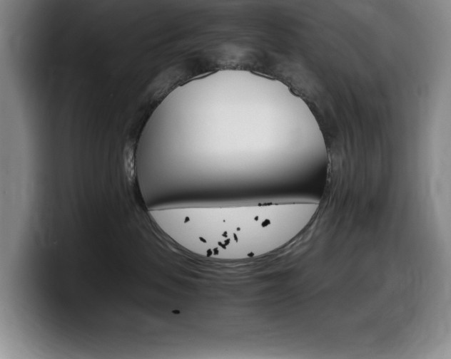 X0000099460479200805090751