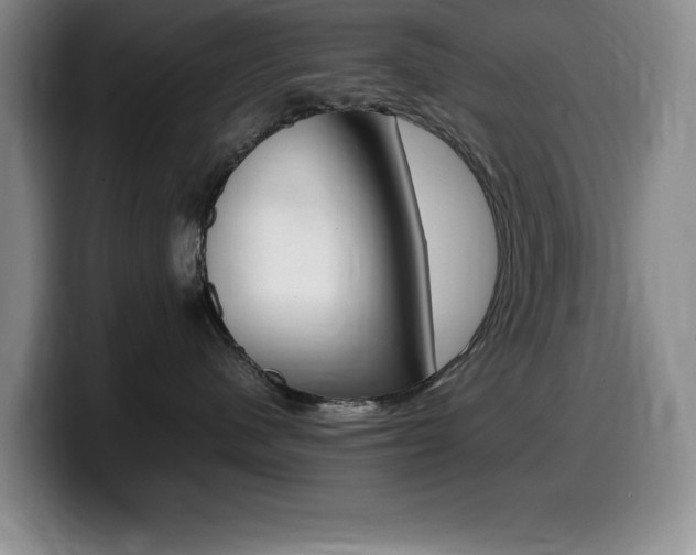 X0000099460480200805090751