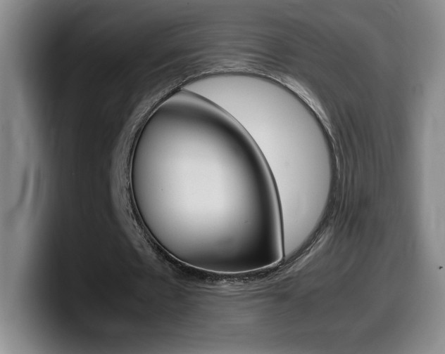 X0000099460481200805090750