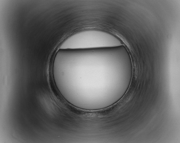 X0000099460482200805090750