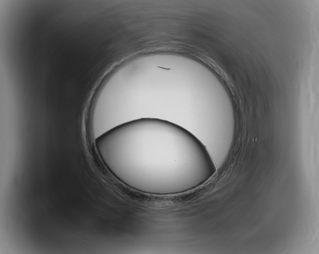X0000099460483200805090750