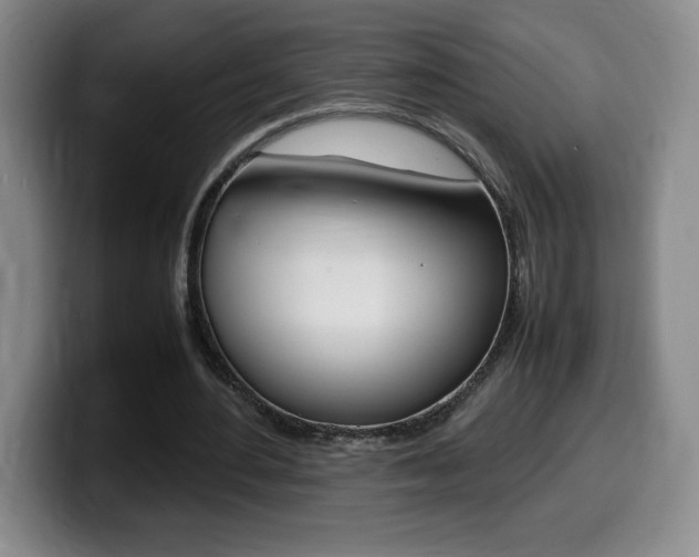 X0000099460484200805090750