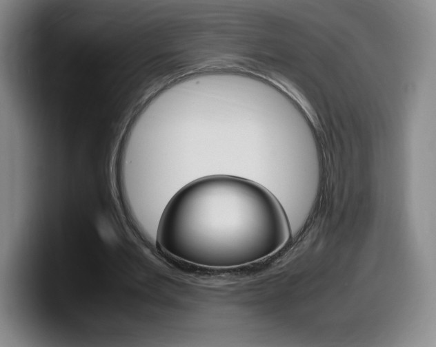 X0000099460485200805090750