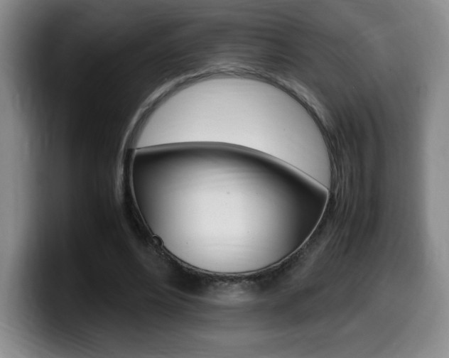 X0000099460488200805090750