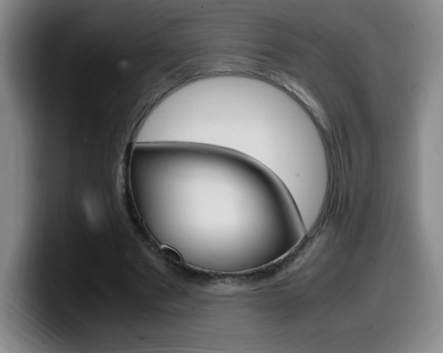 X0000099460489200805090750