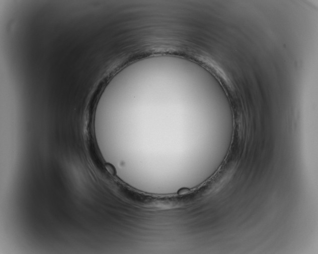 X0000099460490200805090750