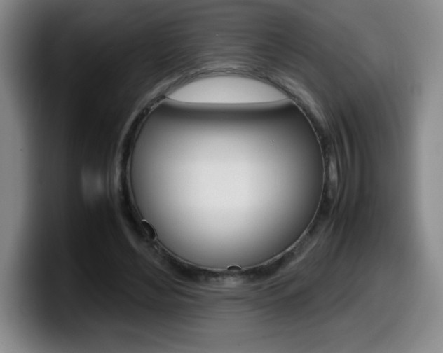 X0000099460492200805090750