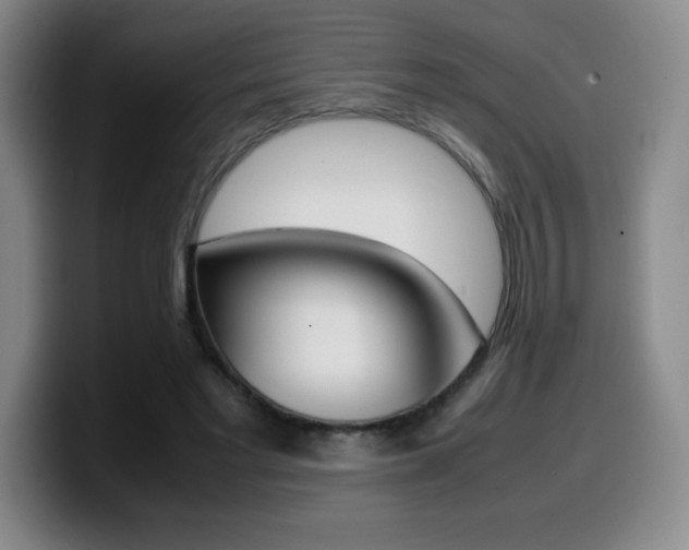 X0000099460493200805090750