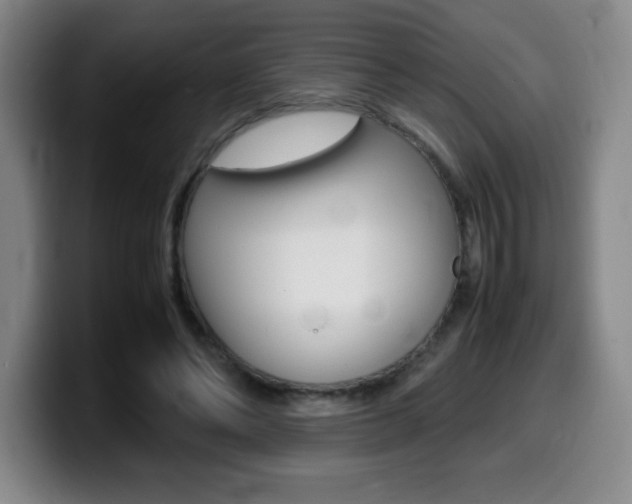 X0000099460494200805090750