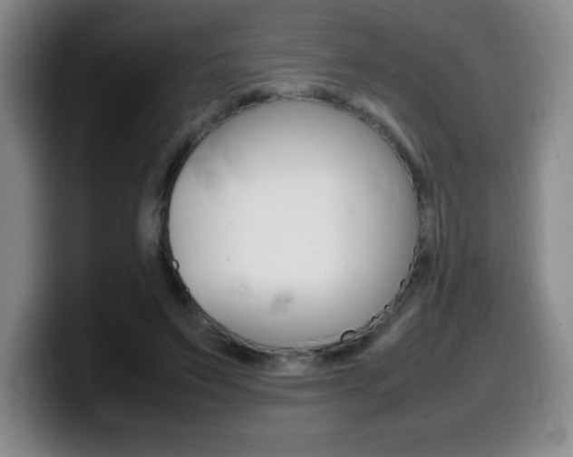 X0000099460495200805090750