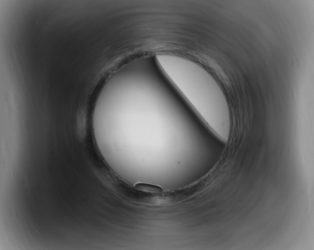 X0000099460496200805090750