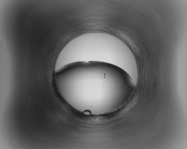 X0000099460497200805090750