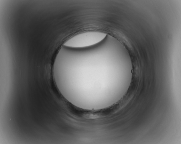 X0000099460498200805090750