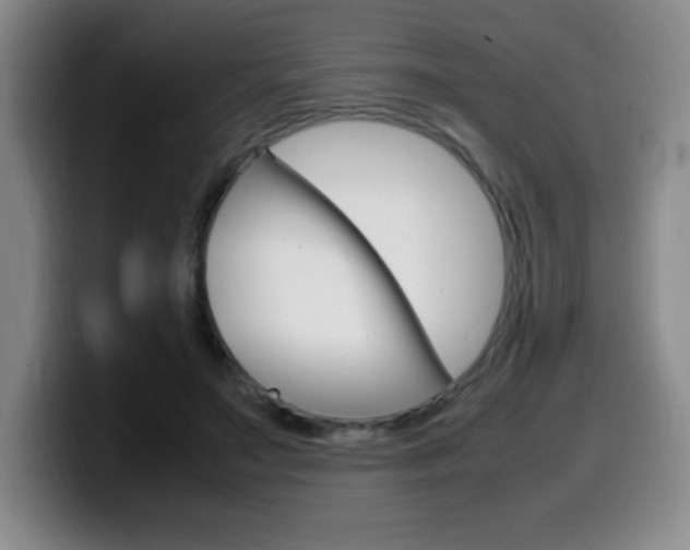 X0000099460499200805090750