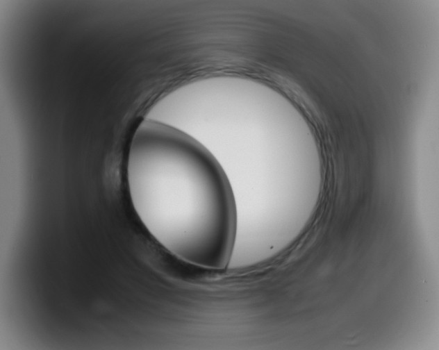 X0000099460501200805090750