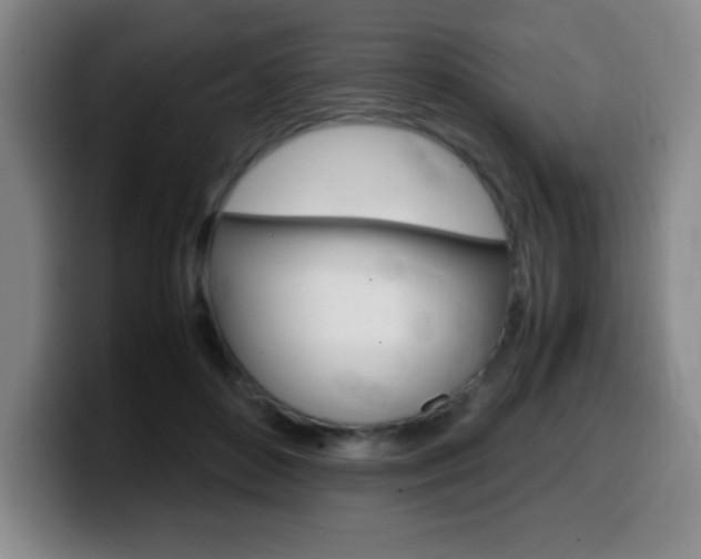 X0000099460504200805090750