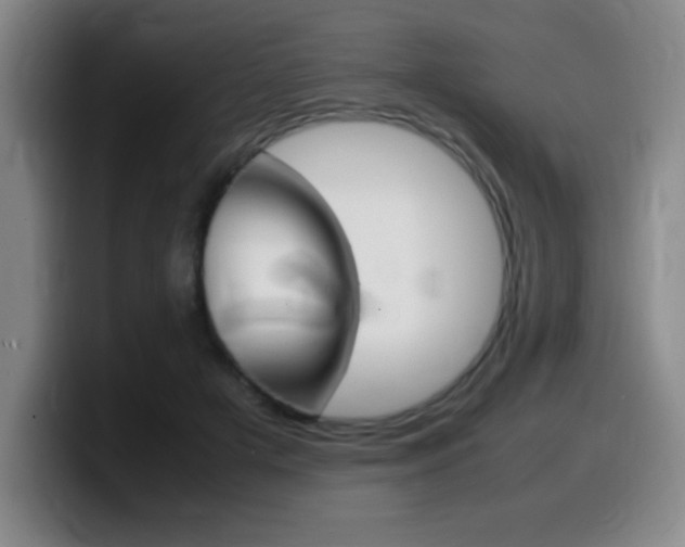 X0000099460505200805090750