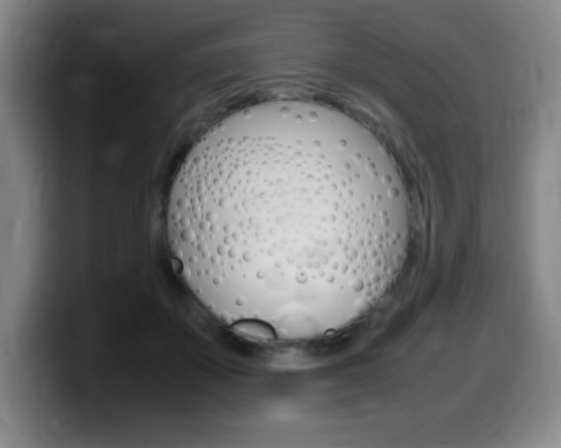 X0000099460507200805090750
