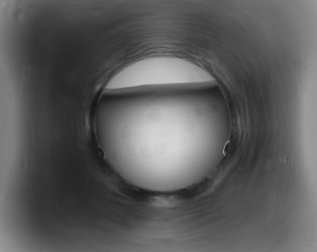 X0000099460508200805090750