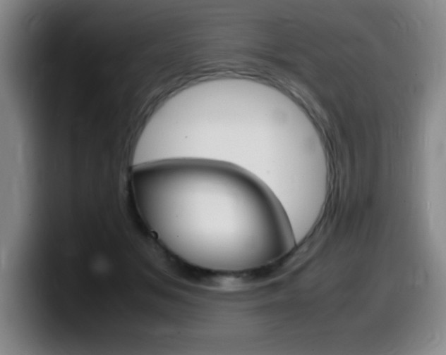 X0000099460509200805090750