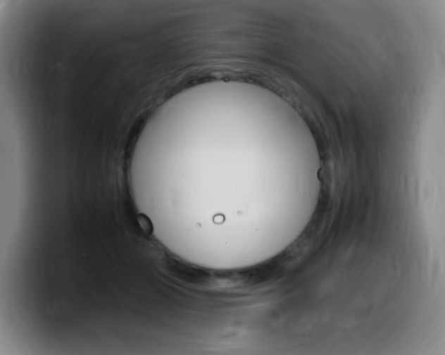 X0000099460510200805090750