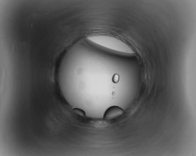 X0000099460512200805090750