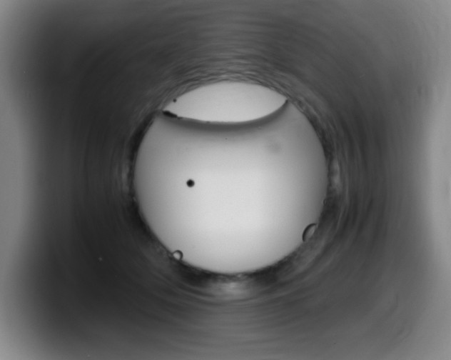 X0000099460514200805090750