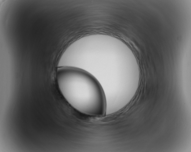 X0000099460517200805090750