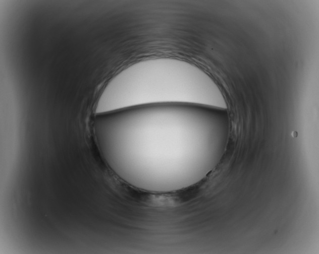 X0000099460520200805090750