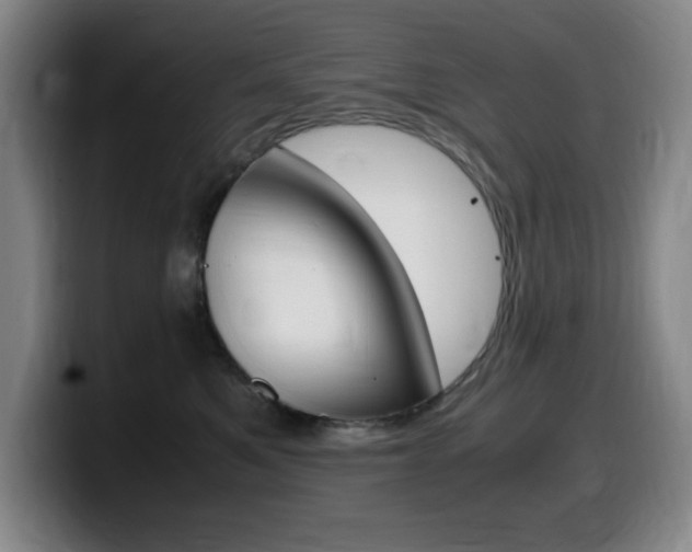 X0000099460521200805090750