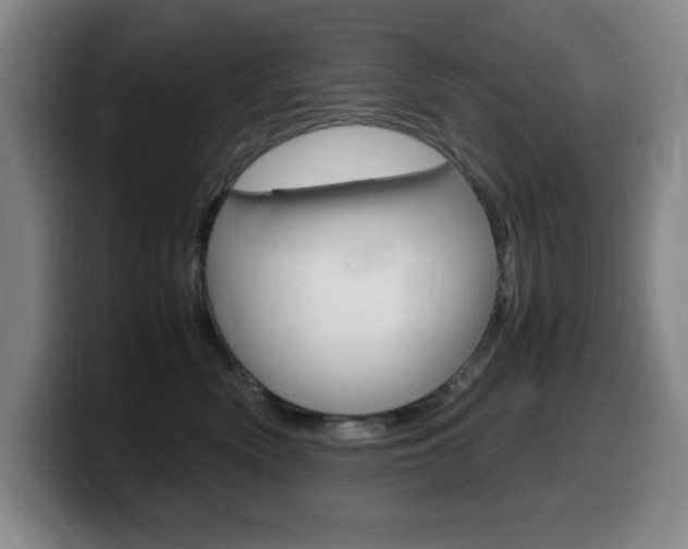 X0000099460522200805090750
