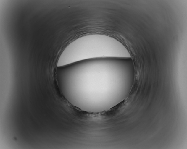 X0000099460524200805090750