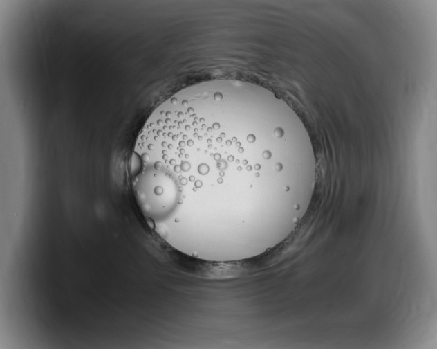 X0000099460527200805090750