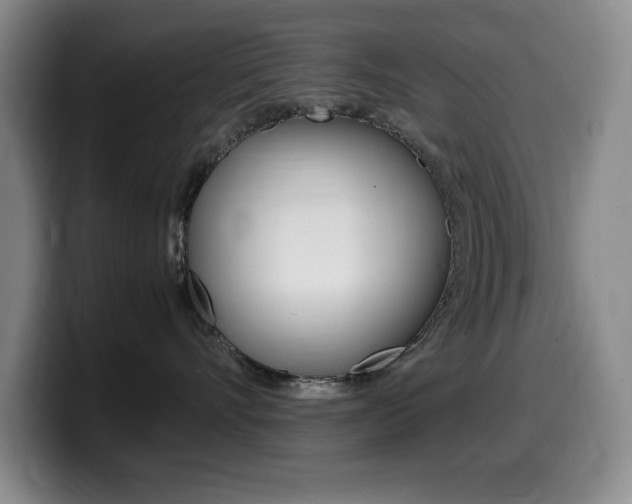 X0000099460528200805090750