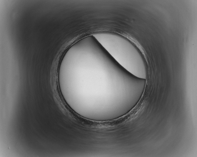 X0000099460529200805090749