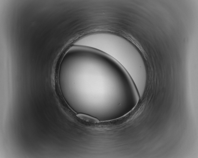X0000099460530200805090749