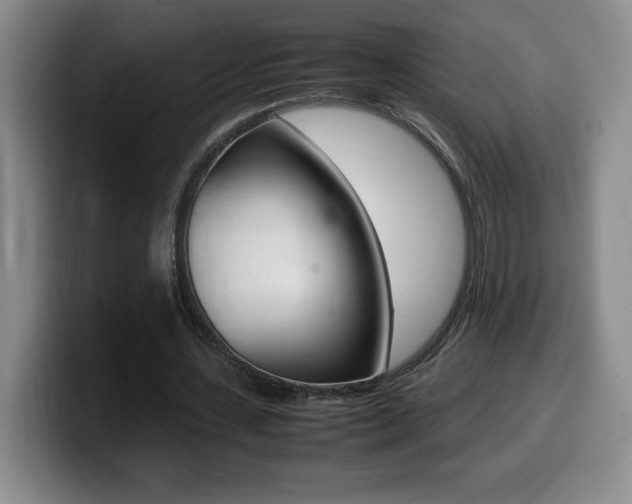X0000099460531200805090749